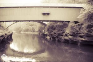 Turkey-Run-State-Park-Indiana-1