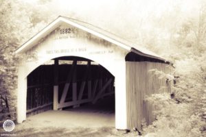 Turkey-Run-State-Park-Indiana-5