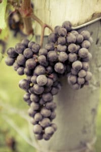 30-Day-Photo-Challenge-25