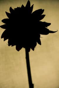 30-Day-Photo-Challenge-27
