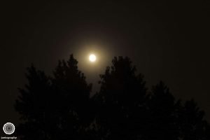 30-Day-Photo-Challenge-Day-16