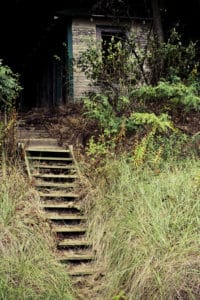 30-Day-Photo-Challenge-Day-6