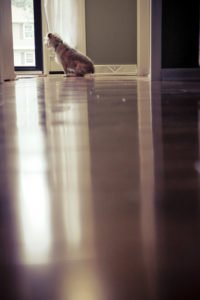 30-Day-Photo-Challenge-Day-9