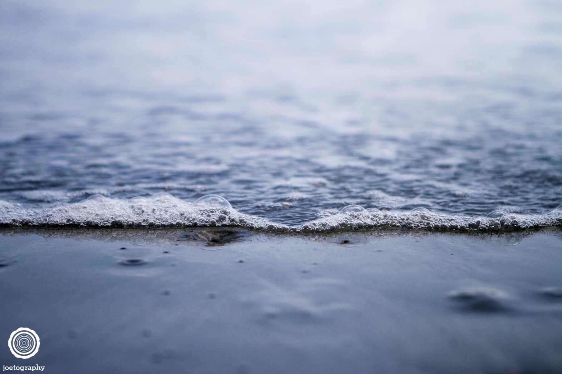 Nature-Photography-Hilton-Head-Island-1