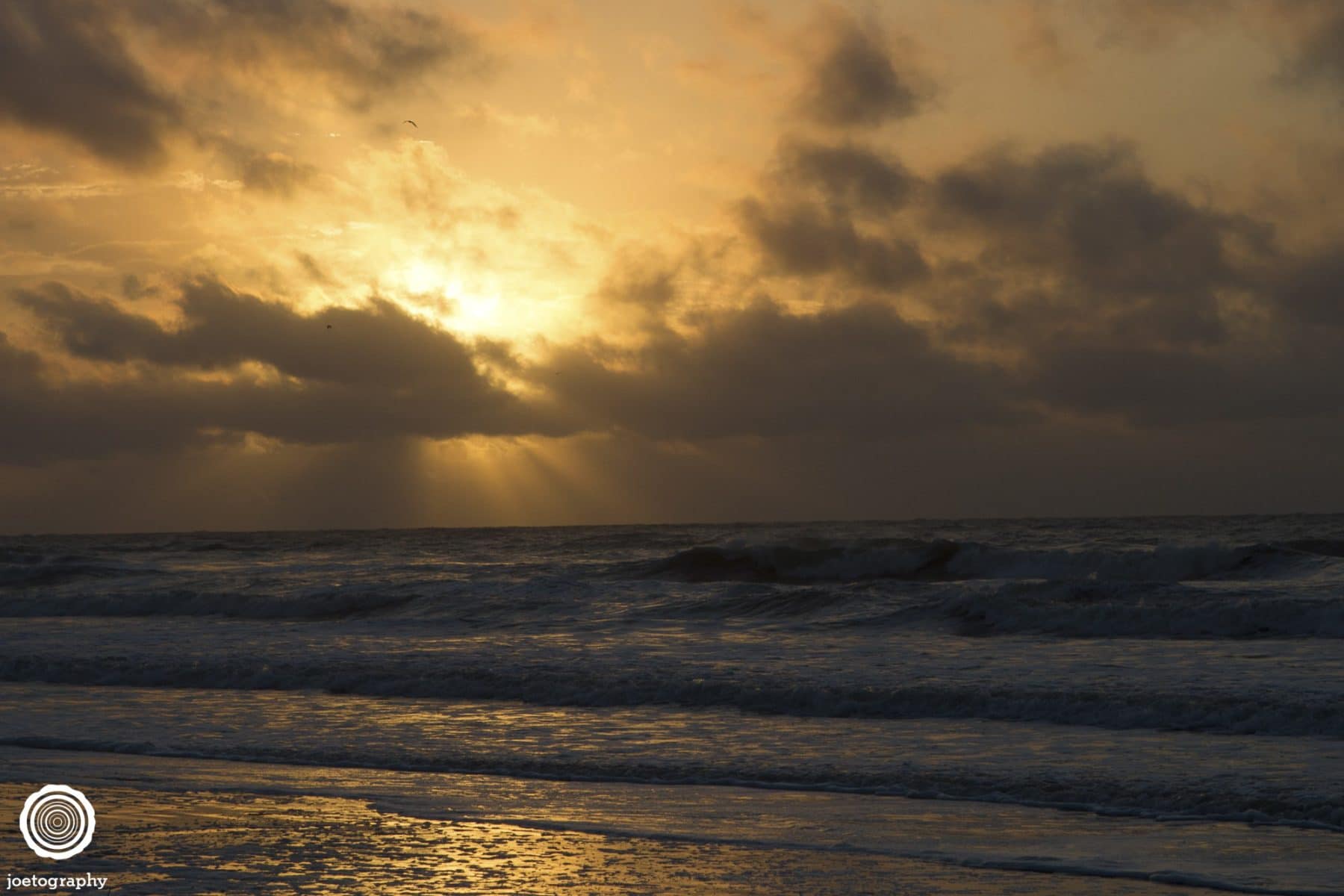 Nature-Photography-Hilton-Head-Island-10