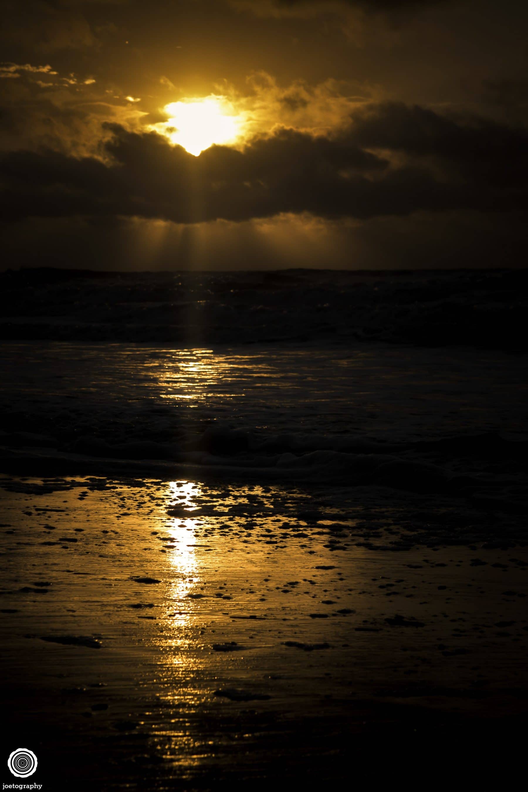 Nature-Photography-Hilton-Head-Island-12