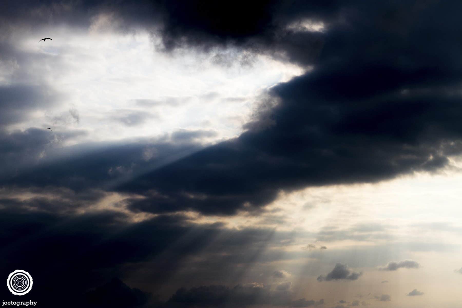 Nature-Photography-Hilton-Head-Island-5