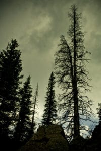 Crested-Butte-Colorado-Travel-Photography-2012-11