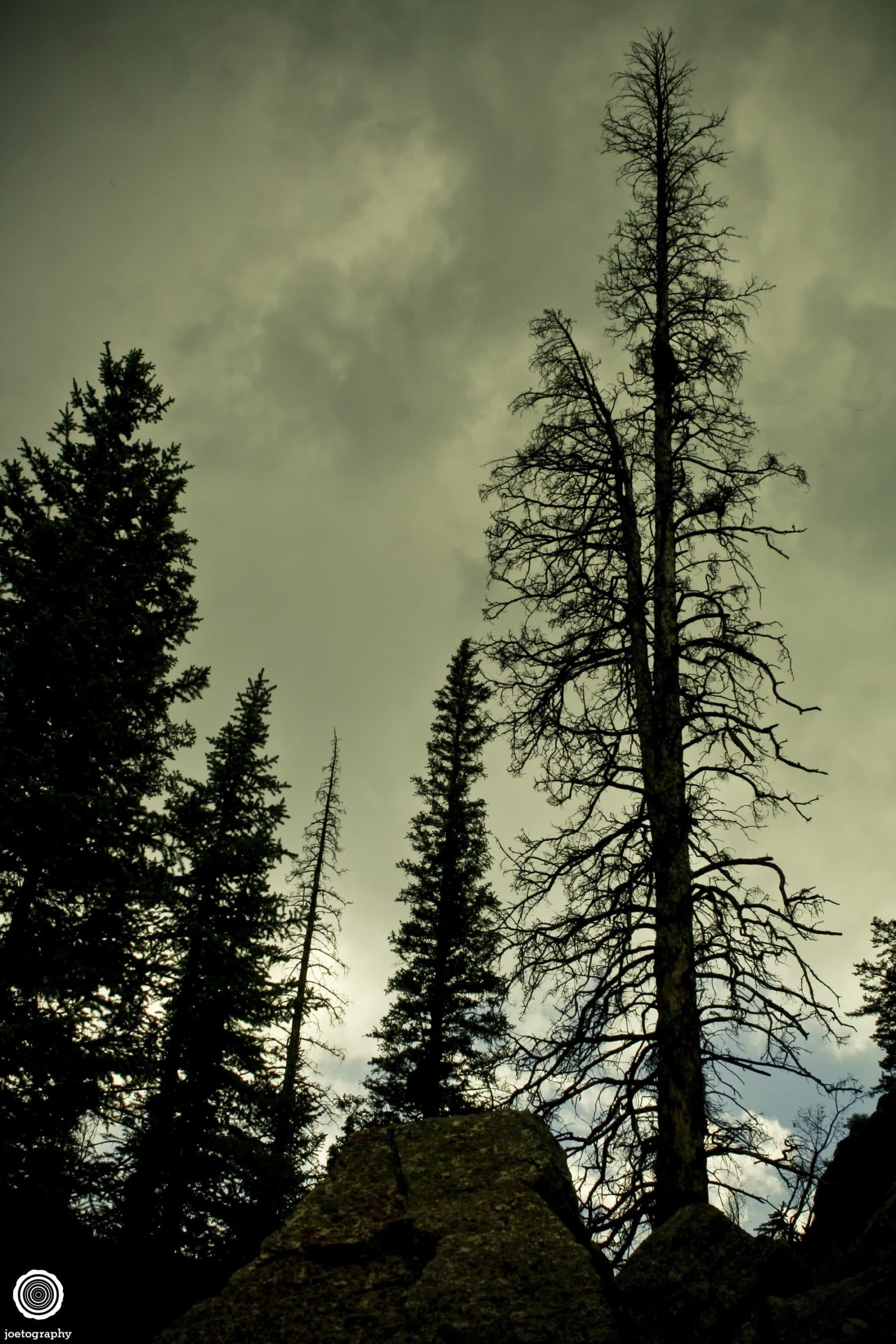 Crested-Butte-Colorado-Travel-Photography-2012-11