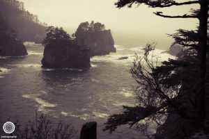 Seattle-Washington-Travel-Photography-2010-10