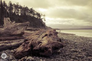 Seattle-Washington-Travel-Photography-2010-26